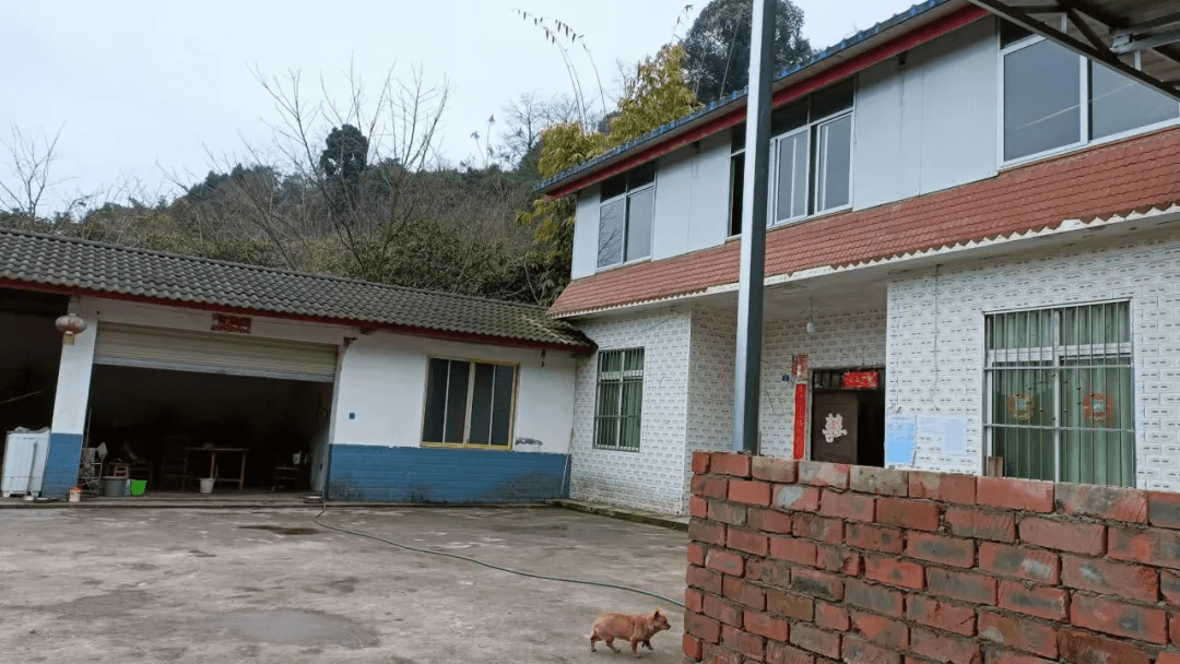 成都农村能注册公司吗多少钱(成都农村能注册公司吗多少钱啊)