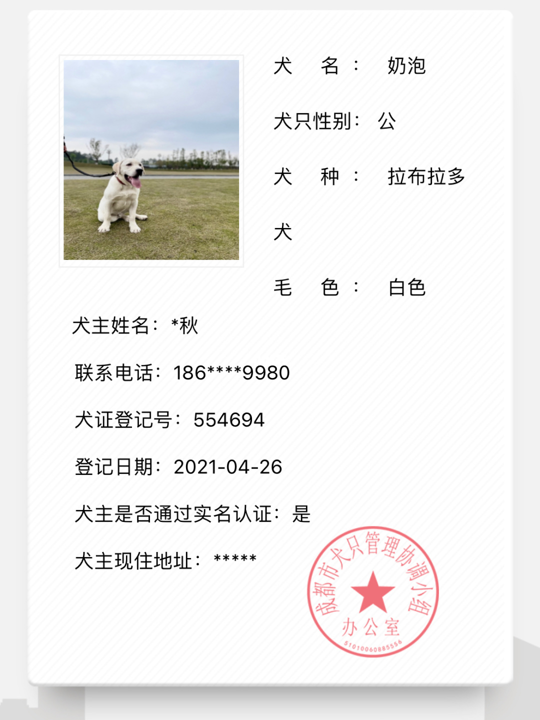 成都注册快狗(成都快狗公司电话是多少)