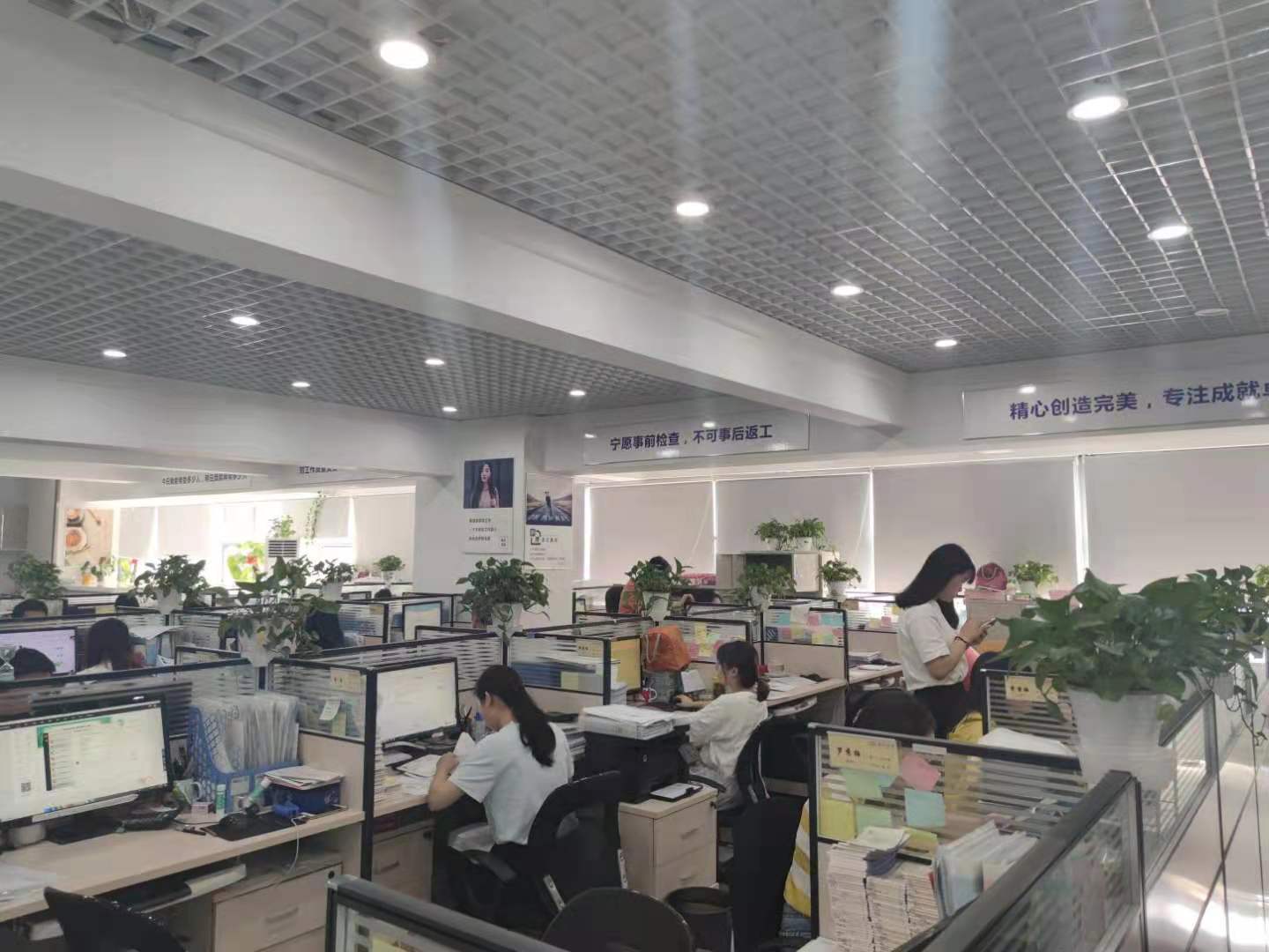 注册成都出国中介公司(注册成都出国中介公司多少钱)