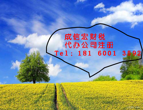 2020年成都公司注册(成都2020注册软件公司)