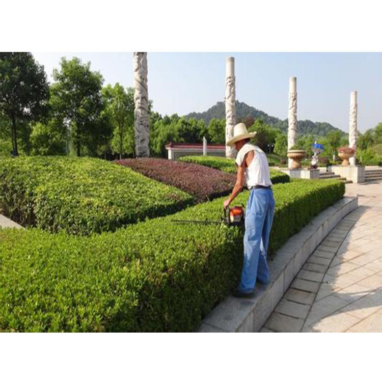 成都注册园林绿化公司(成都注册园林绿化公司名单)