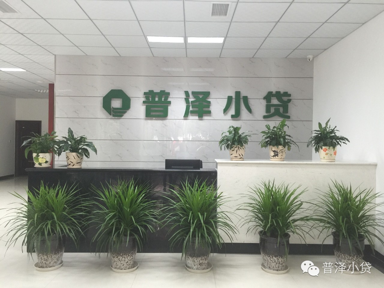 成都公司注册地址代理青白江区(成都青羊区注册公司在哪儿申请工商注册)