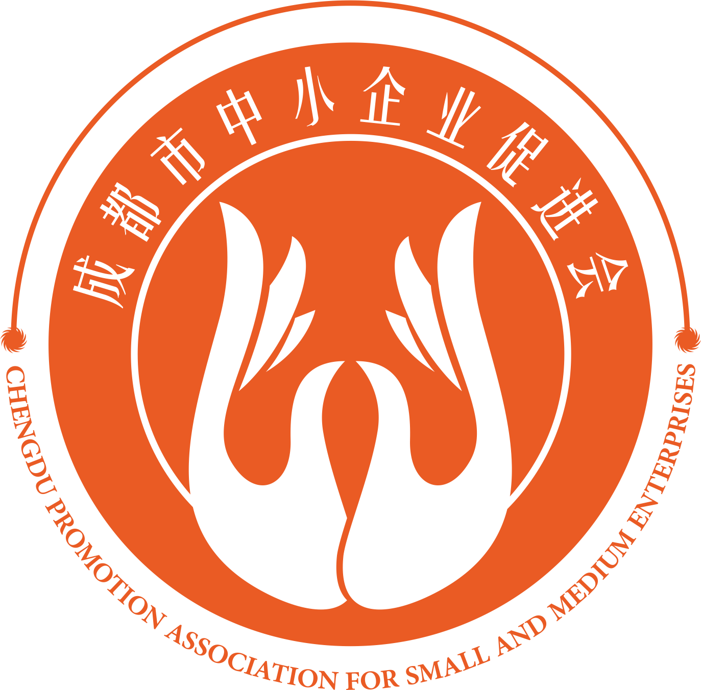 成都民办非营利组织注册(成都市民办非企业成立登记) 成都民办非营利组织注册(成都市民办非企业成立登记)