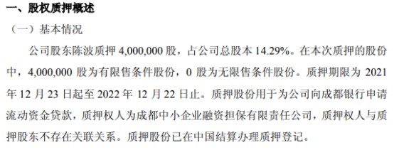 成都非融资担保注册(成都非融资担保注册公司) 成都非融资担保注册(成都非融资担保注册公司)