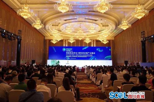 公司注册四川成都南溪的简单介绍