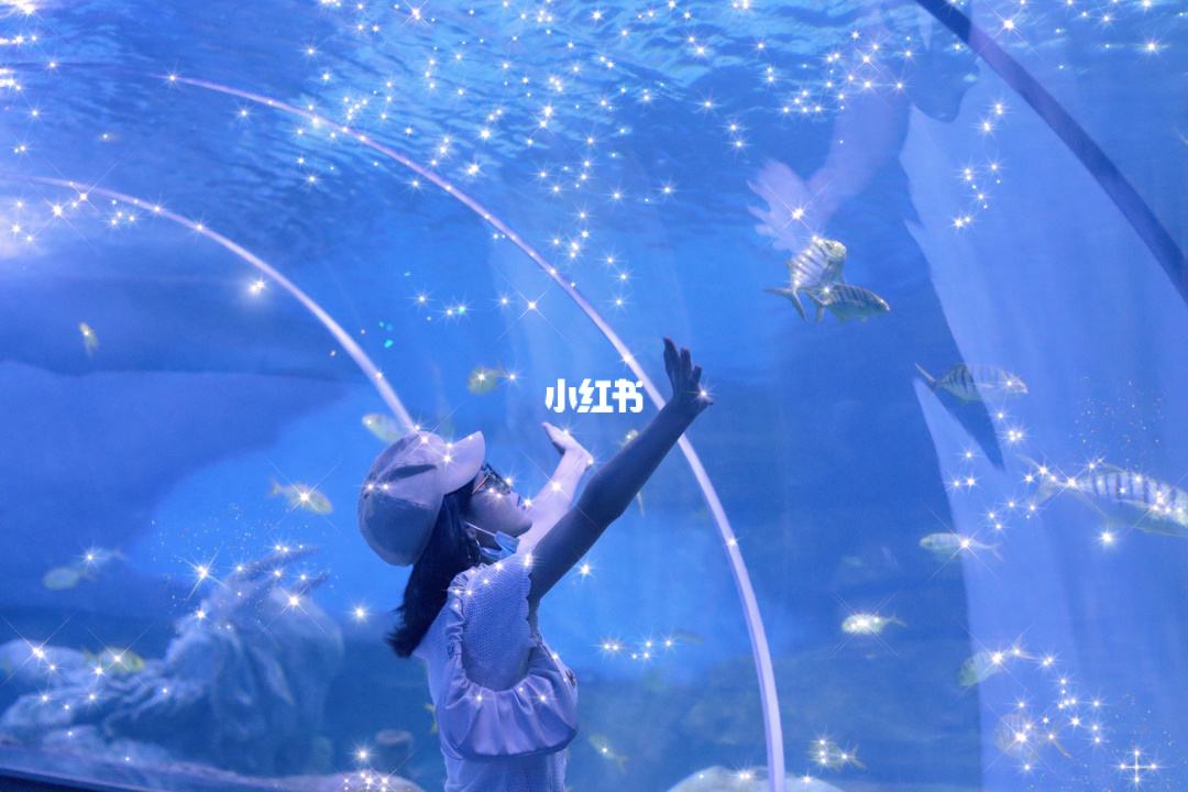 成都极地海洋世界注册信息(成都极地海洋世界注册信息查询)