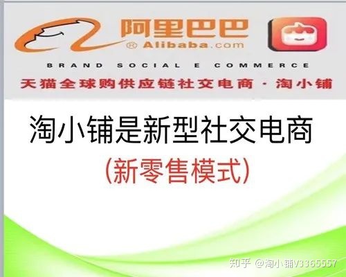 成都注册淘小铺社交电商条件(成都注册淘小铺社交电商条件要求)