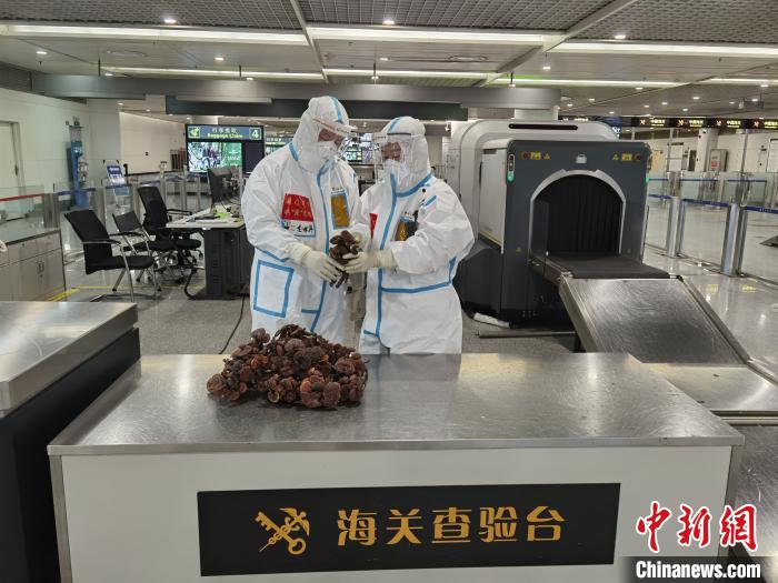 成都海关注册登记证(中华人民共和国成都海关官网)