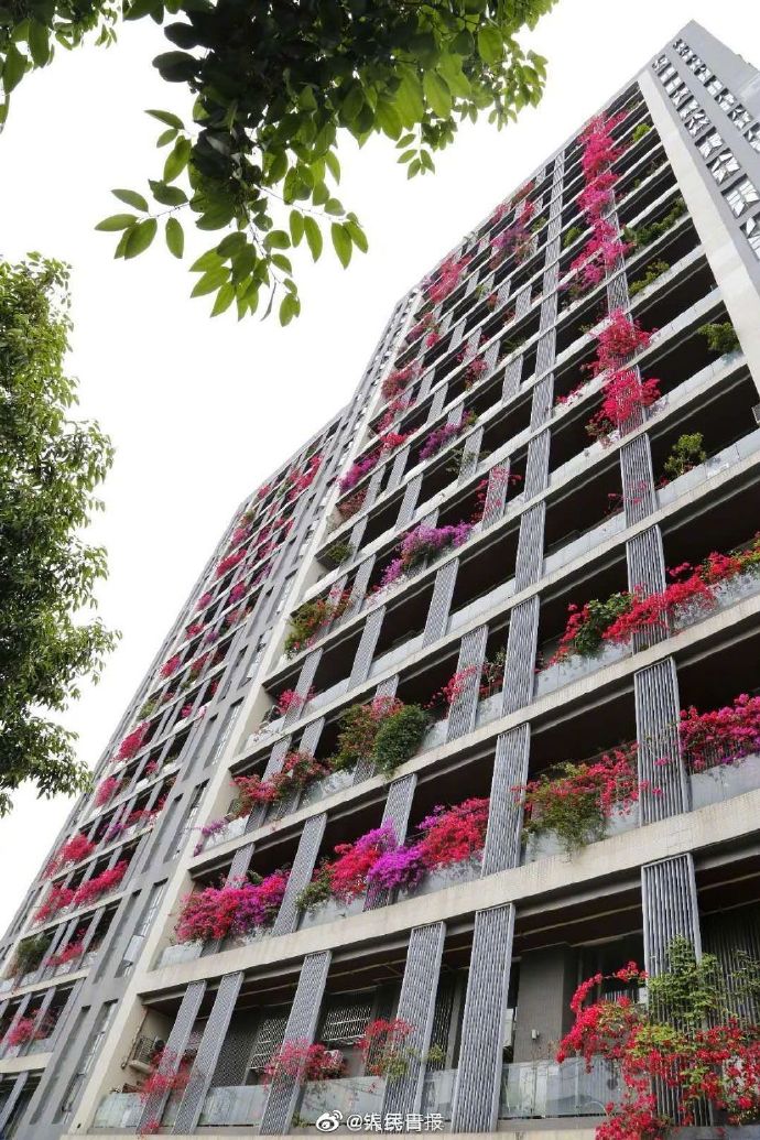 成都居民楼可作为注册地址嘛(成都注册公司地址可以是住宅楼吗)