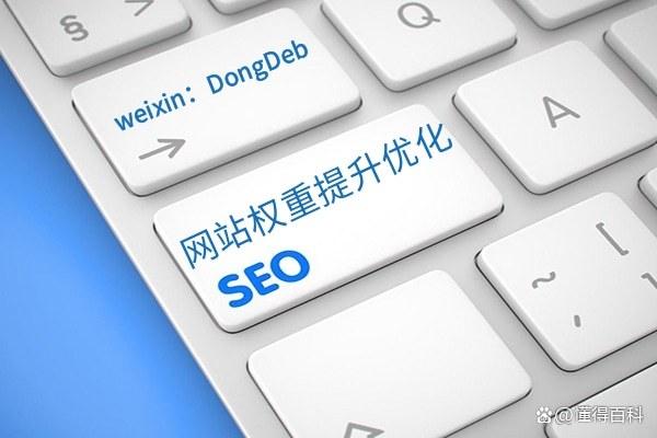 seo关键字怎么优化(seo关键字优化优选品达seo)