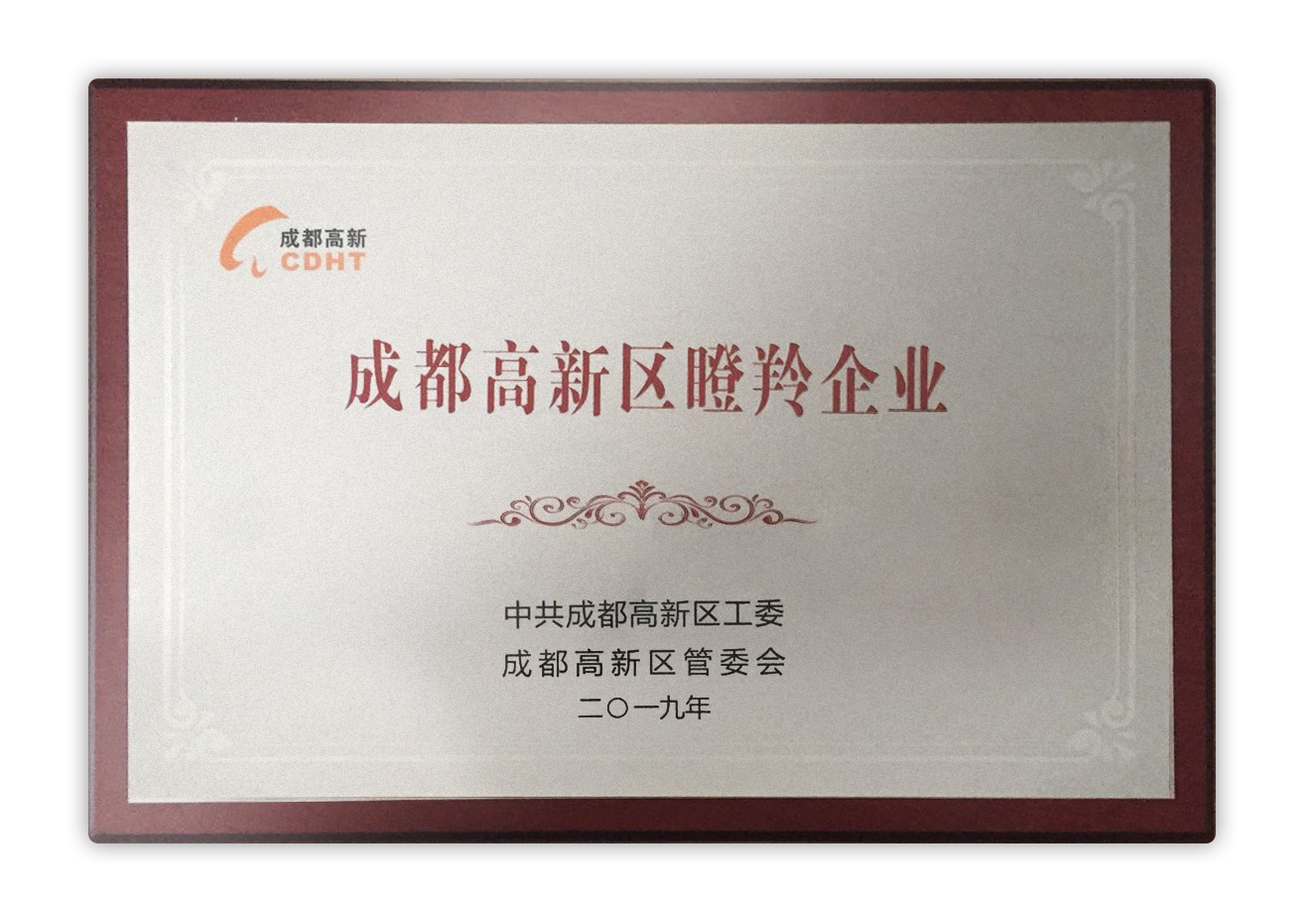 成都高新区新公司注册代理办理(成都高新区新公司注册代理办理流程)