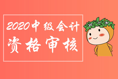 关于注册会计师成都省直审核地点的信息