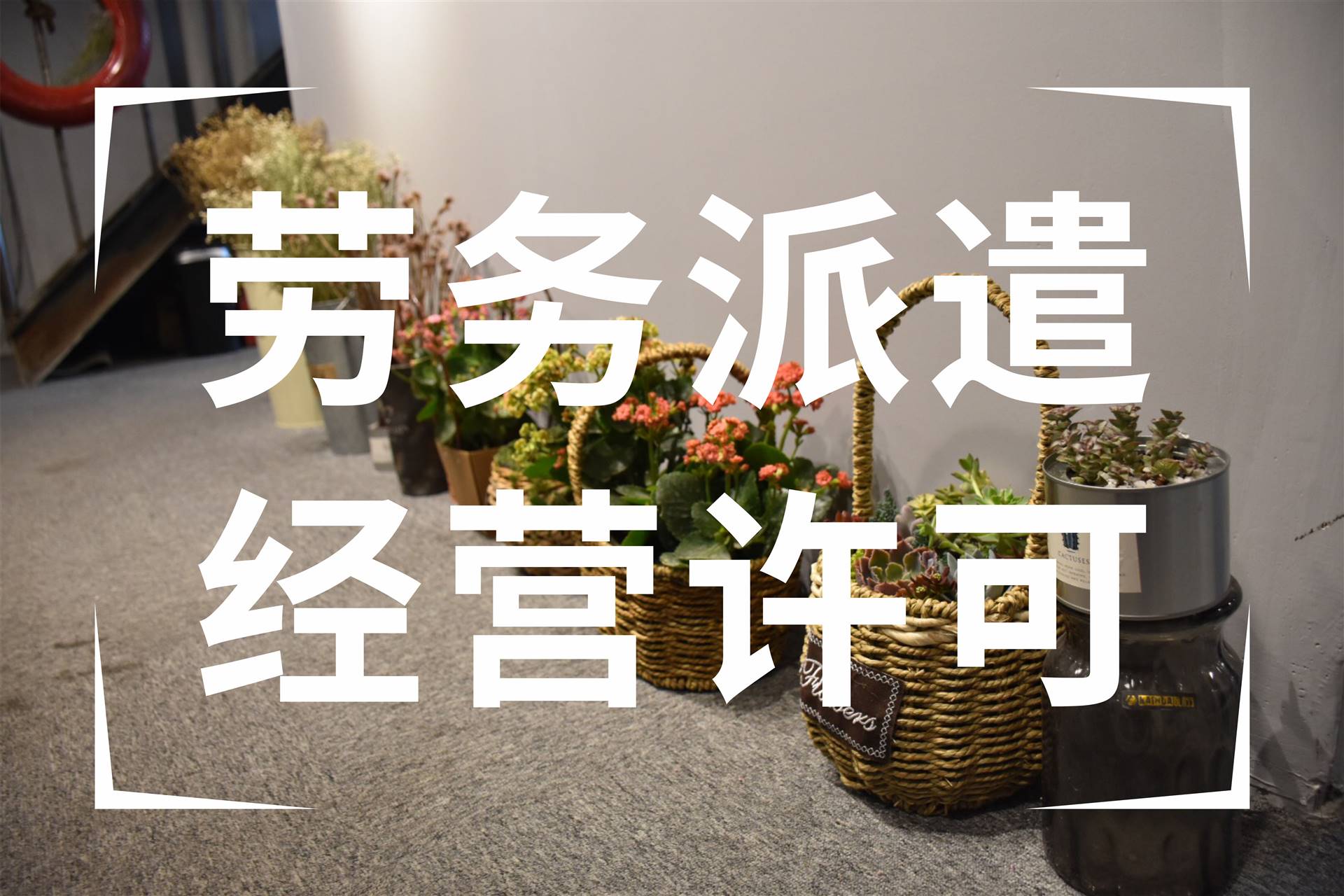 成都劳务公司注册流程和费用(成都劳务公司注册流程和费用标准)