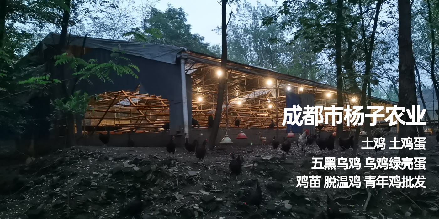 成都注册农业公司收费标准(成都注册农业公司收费标准是多少)