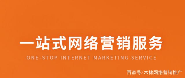 网络营销品牌案例(网络营销品牌案例ppt)