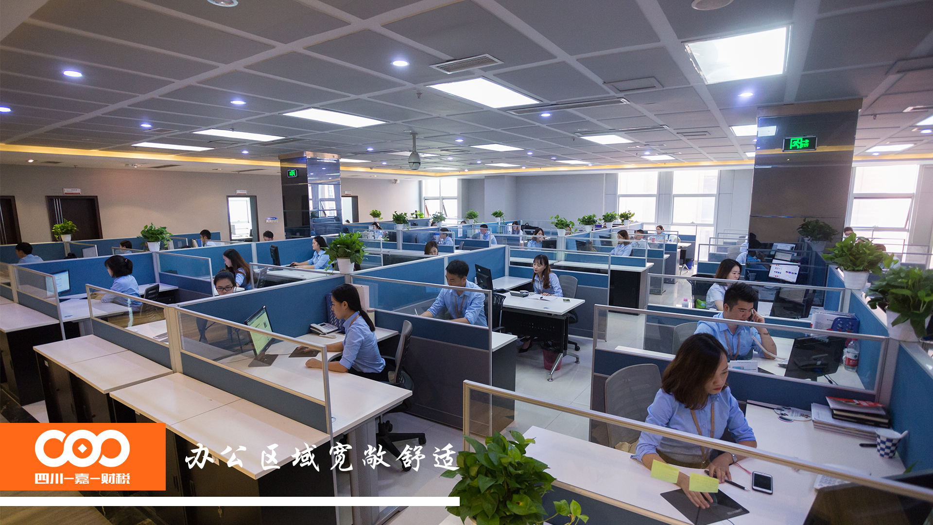 成都软件外包公司注册(成都软件外包公司注册地址)