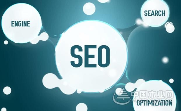 英语seo(英语seon是什么意思)