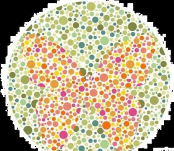 色盲测试图考驾照(色盲测试图考驾照图案) 色盲测试图考驾照(色盲测试图考驾照图案)