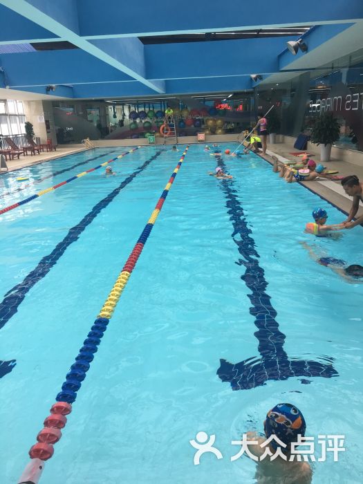 包含成都市武侯区注册游泳馆数量的词条