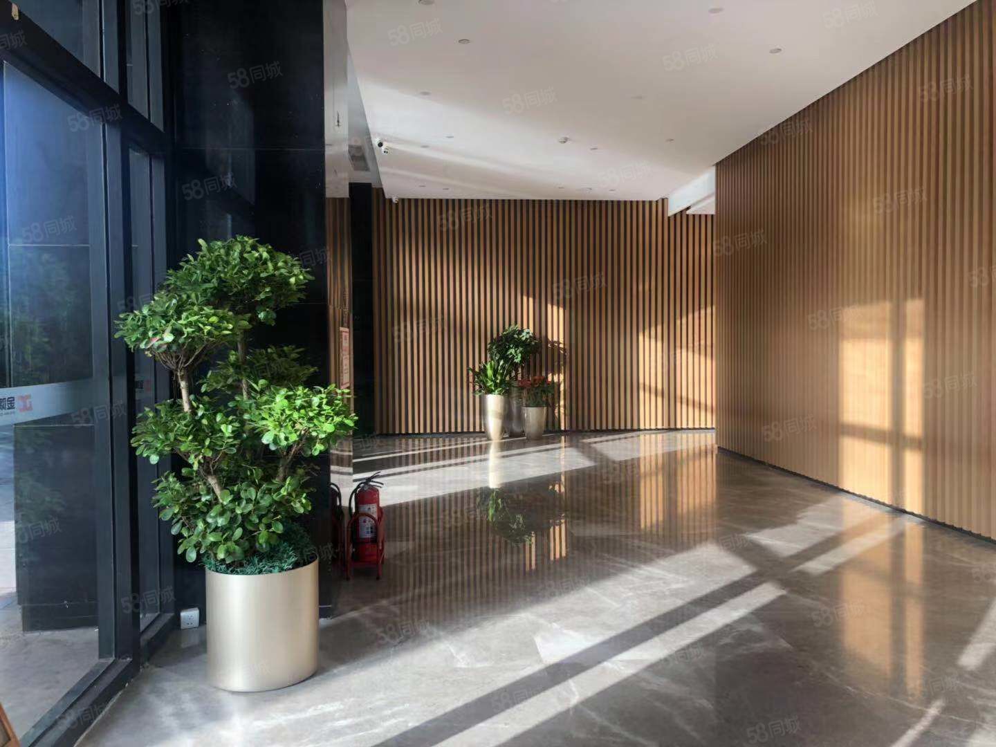 成都大成国际公寓可以注册公司吗(成都大成国际公寓可以注册公司吗知乎)