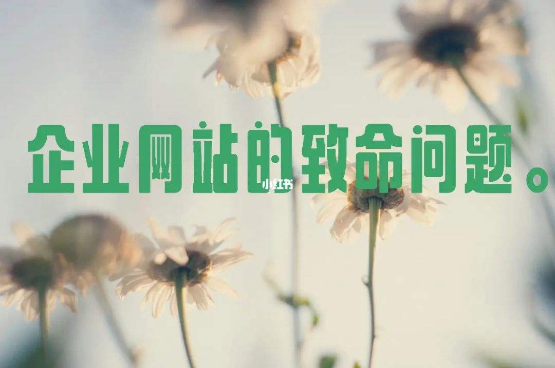 网络优化初学者难吗(做网络优化需要掌握什么知识?)