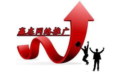 网络推广怎么做(电商网络推广怎么做)