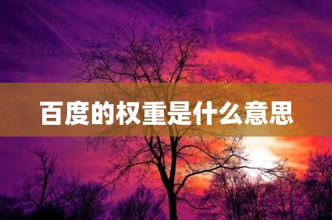 权重是什么意思(权重是什么意思饭圈)