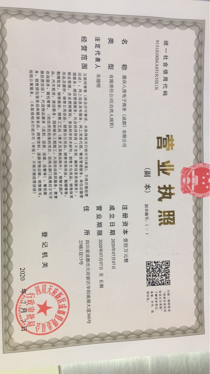 成都商务公司注册(成都电子商务公司注册)