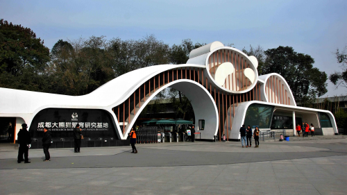 成都耍耍怎么注册(成都红绳耍耍网114)