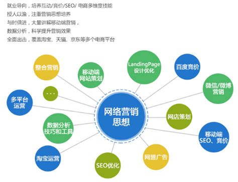 草根seo(草根逆袭之都市任我纵横)