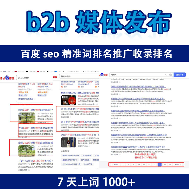 百度seo排名优化助手(百度seo排名优化是什么)