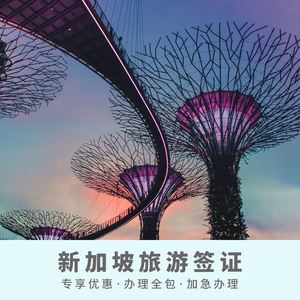 成都注册新加坡企业条件(成都注册新加坡企业条件有哪些)