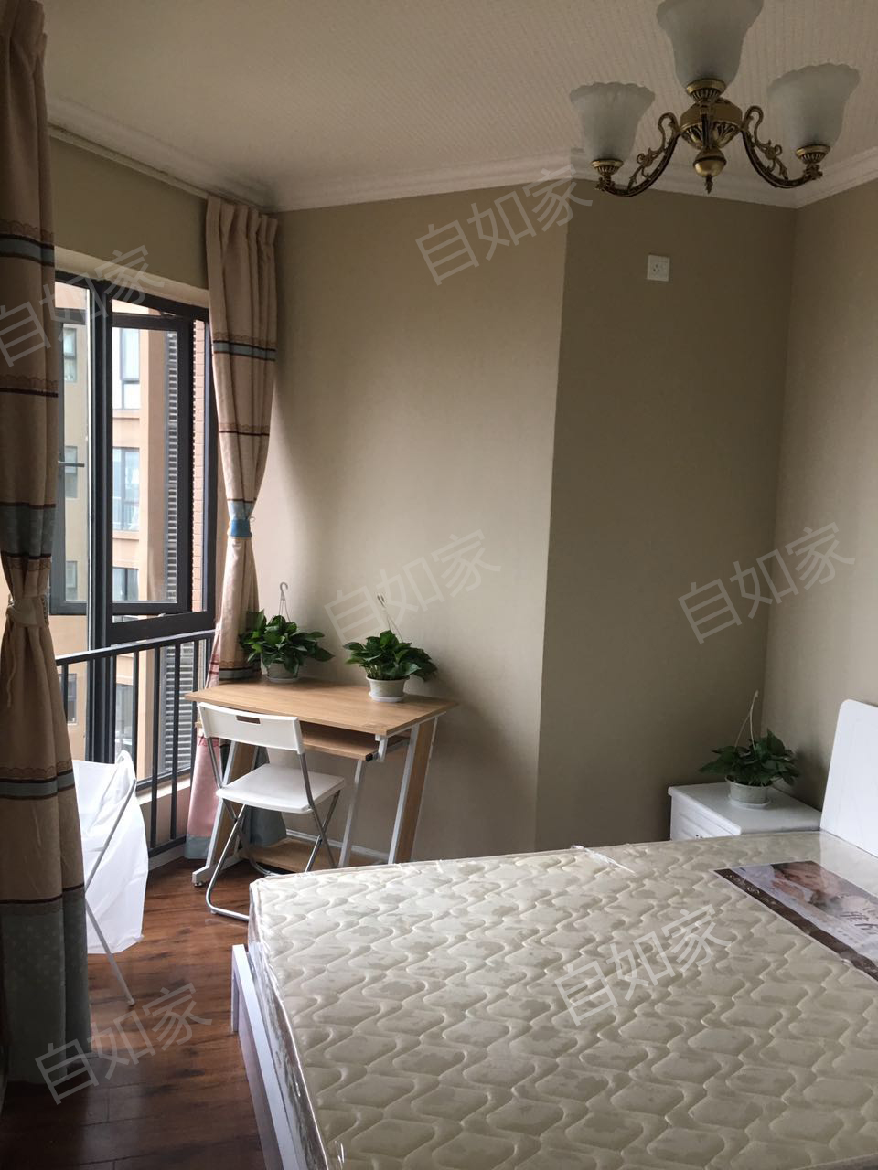 公寓可以注册公司吗成都(公寓可以注册公司吗成都市)