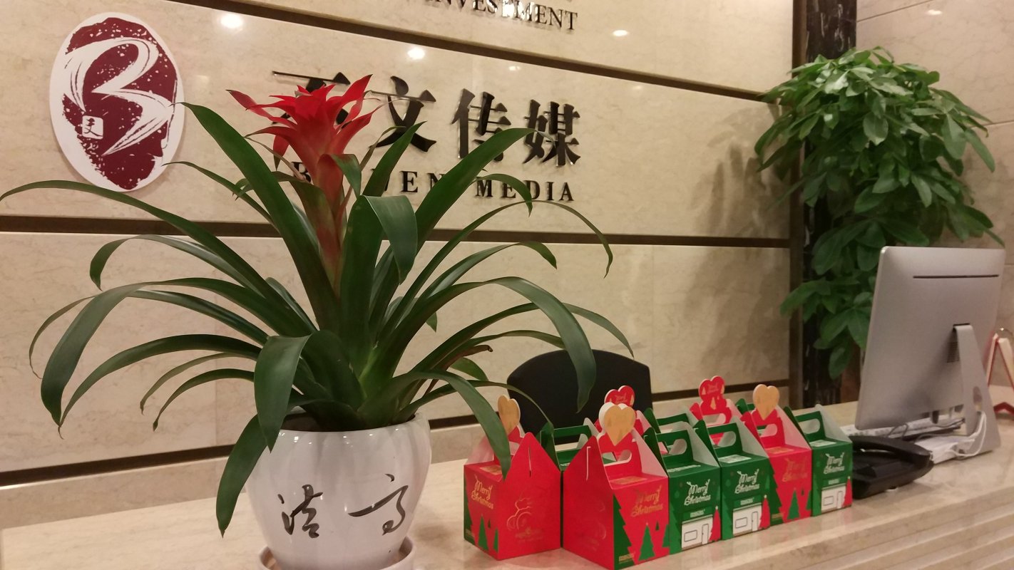 成都注册文化传媒公司(成都文化传媒集团公司)