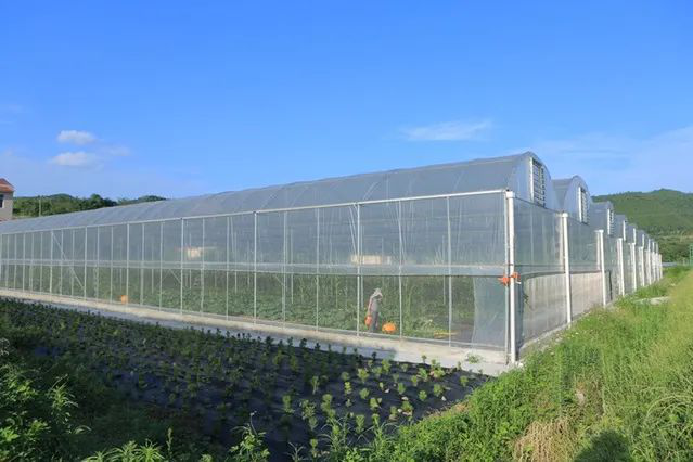 成都注册农业公司注意事项大全 成都注册农业公司注意事项大全咨询电话 成都注册农业公司注意事项大全 成都注册农业公司注意事项大全咨询电话