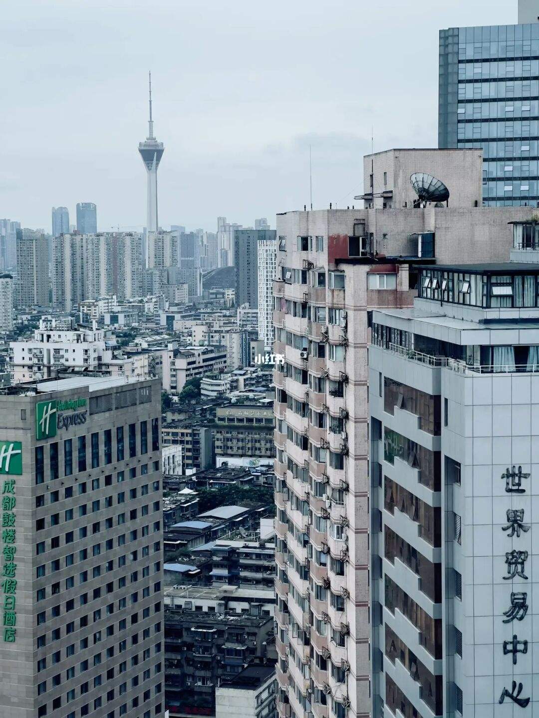 成都注册随手拍 成都随手拍有奖励吗 成都注册随手拍 成都随手拍有奖励吗