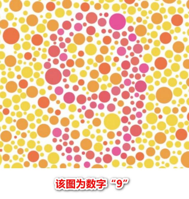 色盲测试图 色盲测试图最新版 