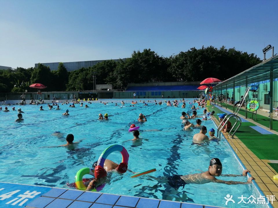 成都游泳运动员注册 成都游泳运动员注册公司 