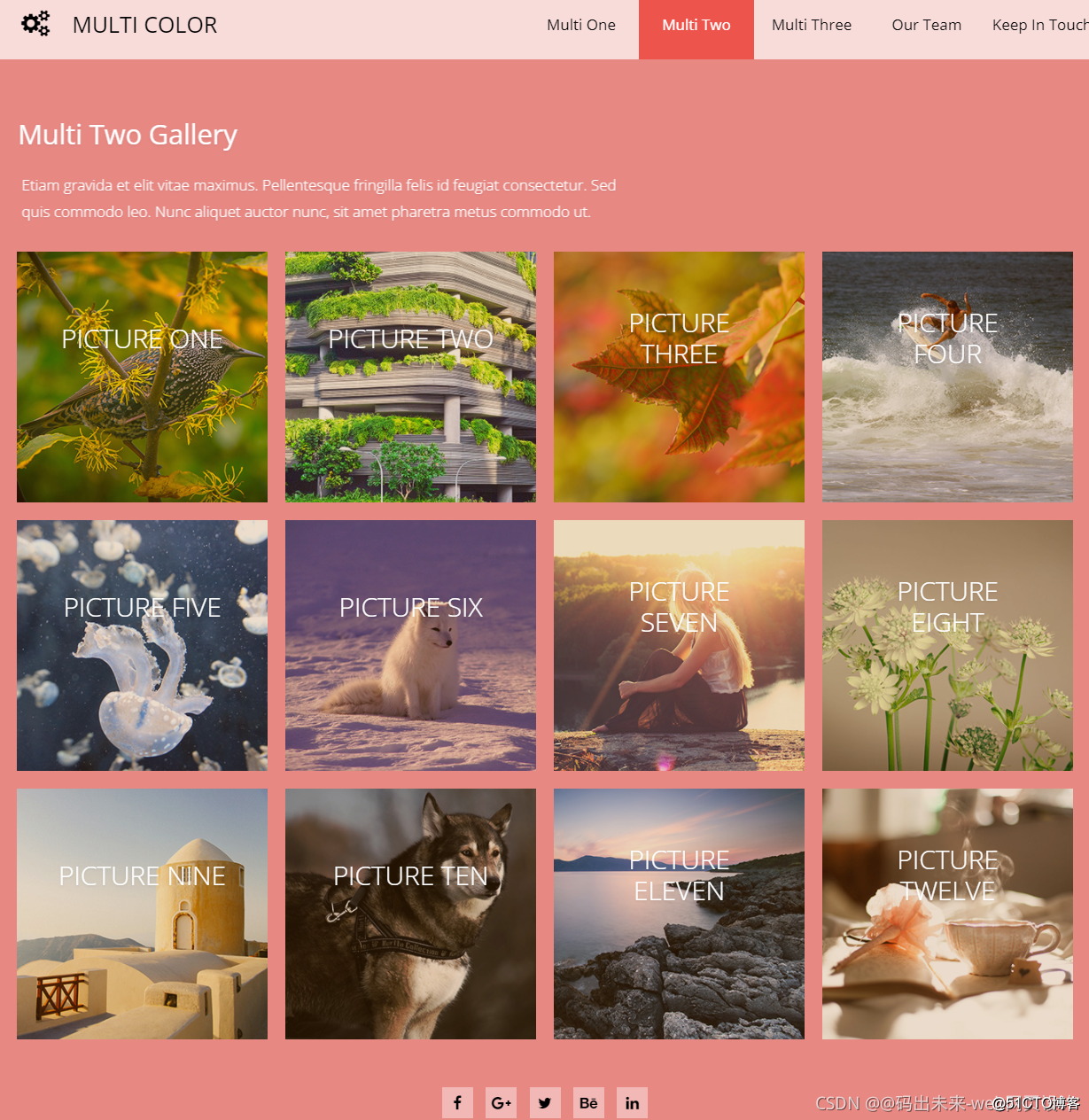 模板网站 ppt模板免费下载 素材 