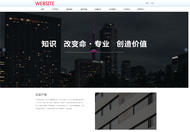 包含重庆网站建设的词条