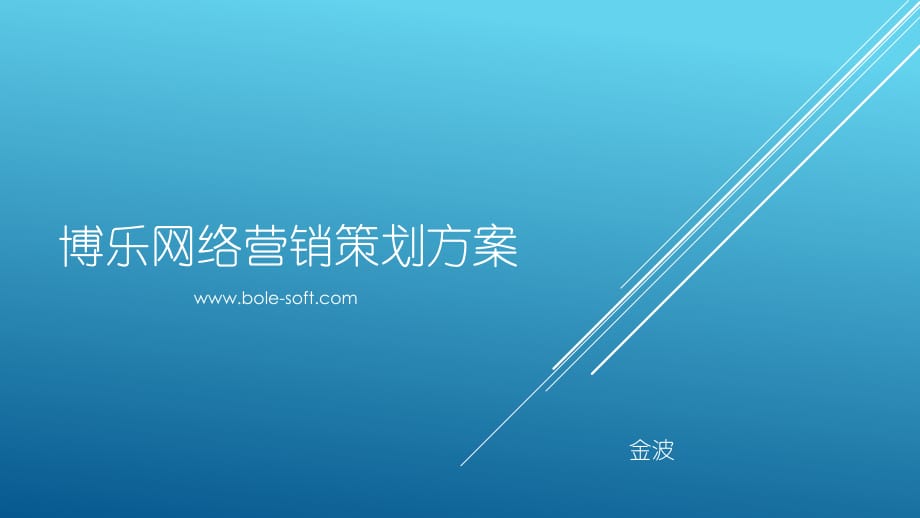 网络营销ppt案例 网络营销策划案ppt 